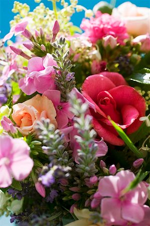 simsearch:659-03524278,k - Bouquet of summer flowers (detail) Stock Photo - Premium Royalty-Free, Code: 659-01858398