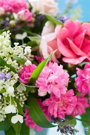 simsearch:659-03524278,k - Bouquet of summer flowers (detail) Stock Photo - Premium Royalty-Free, Code: 659-01858399