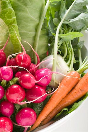 Radieschen, spitz Kohl, Kohlrabi und Karotten in Schüssel Stockbilder - Premium RF Lizenzfrei, Bildnummer: 659-01858531