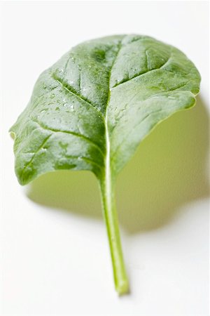 spinach leaf - A spinach leaf Stock Photo - Premium Royalty-Free, Code: 659-01858884