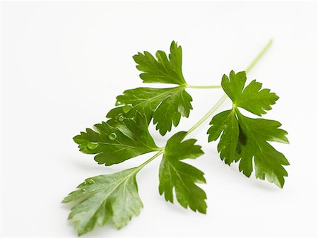 perejil - Flat-leaf parsley Foto de stock - Sin royalties Premium, Código: 659-01850126