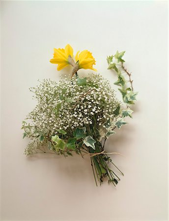 simsearch:659-03534773,k - Spring bouquet of daffodils, gypsophila and ivy Fotografie stock - Premium Royalty-Free, Codice: 659-01850408