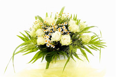 Arrangement de roses blanches, fleurs de camomille et de graminées Photographie de stock - Premium Libres de Droits, Code: 659-01850878
