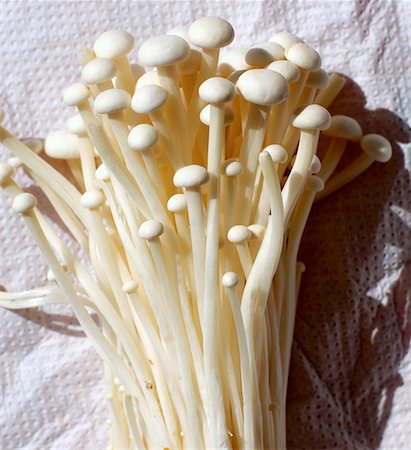 Champignons Enokitake Photographie de stock - Premium Libres de Droits, Code: 659-01851182