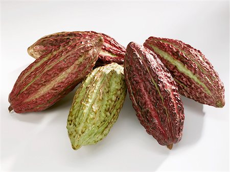 Cacao fruit pods Foto de stock - Sin royalties Premium, Código: 659-01851357