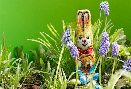 Grape hyacinths with chocolate Easter Bunny & chocolate eggs Stock Photo - Premium Royalty-Free, Code: 659-01851387
