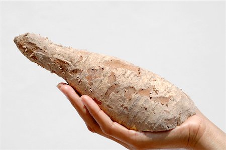 Hand holding a cassava root Fotografie stock - Premium Royalty-Free, Codice: 659-01851434
