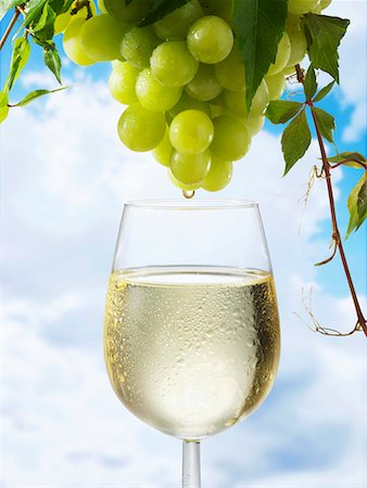 White wine dripping from grapes into a wine glass Stock Photo - Premium Royalty-Free, Code: 659-01851440