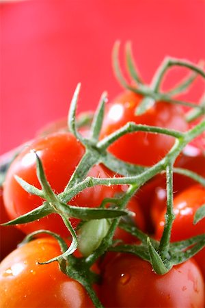 Cherry tomatoes Stock Photo - Premium Royalty-Free, Code: 659-01851501