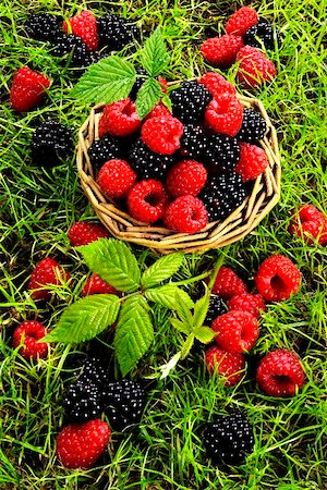 fresh raspberries and outdoors - Raspberries and blackberries in a basket and in grass Stock Photo - Premium Royalty-Free, Code: 659-01851644