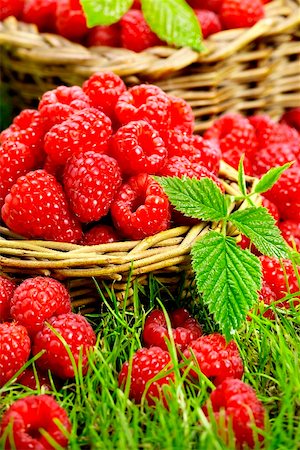 Fresh raspberries in two baskets (close-up) Stock Photo - Premium Royalty-Free, Code: 659-01851646