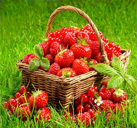 strawberries and raspberries - Fresh berries in a basket Stock Photo - Premium Royalty-Free, Code: 659-01851642