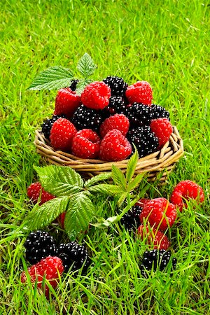 fresh raspberries and outdoors - Fresh raspberries and blackberries in a basket Stock Photo - Premium Royalty-Free, Code: 659-01851643