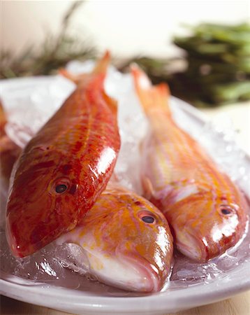 Red mullet on ice Stock Photo - Premium Royalty-Free, Code: 659-01851753