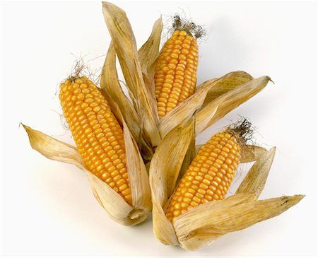 simsearch:659-01853364,k - Three corncobs Stock Photo - Premium Royalty-Free, Code: 659-01851839