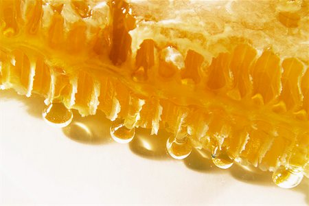 Close-up of a honeycomb Stock Photo - Premium Royalty-Free, Code: 659-01852120