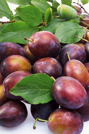 simsearch:659-01858102,k - Several Purple Plums with Leaf Stock Photo - Premium Royalty-Free, Code: 659-01852314