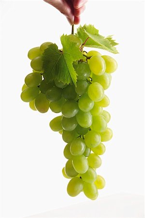 A whole bunch of green grapes with leaves Stock Photo - Premium Royalty-Free, Code: 659-01852349