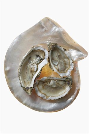 shellfish type - Three oysters on mother-of-pearl background Stock Photo - Premium Royalty-Free, Code: 659-01852679