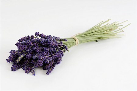 A bunch of lavender Stock Photo - Premium Royalty-Free, Code: 659-01852712