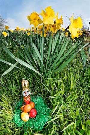 Nid de Pâques dans l'herbe avec les jonquilles en arrière-plan Photographie de stock - Premium Libres de Droits, Code: 659-01852945