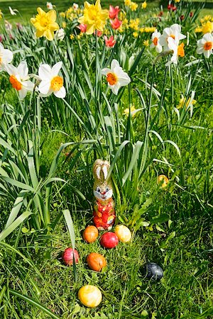Easter Bunny and eggs in grass with narcissi in background Stock Photo - Premium Royalty-Free, Code: 659-01852946