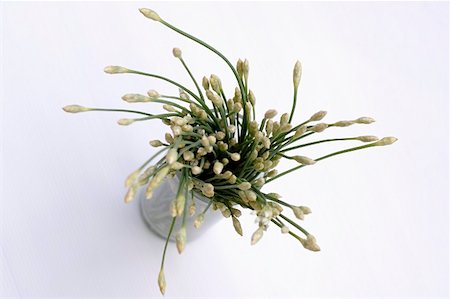 simsearch:659-06153609,k - Thai chives Foto de stock - Sin royalties Premium, Código: 659-01853048
