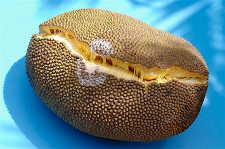 simsearch:659-03533364,k - A jack fruit Stock Photo - Premium Royalty-Free, Code: 659-01853051