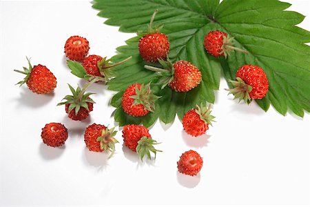 simsearch:659-01866279,k - Wild strawberries on a leaf Stock Photo - Premium Royalty-Free, Code: 659-01853164