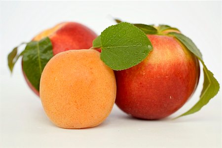 simsearch:659-01853581,k - Two nectarines and one apricot Foto de stock - Sin royalties Premium, Código: 659-01853576