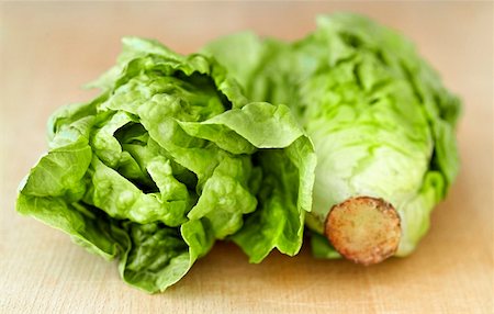 Lettuce Stock Photo - Premium Royalty-Free, Code: 659-01853917