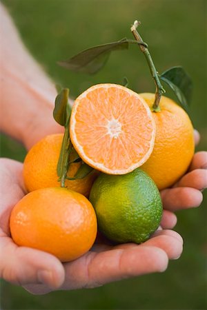 Hands holding assorted citrus fruit Foto de stock - Sin royalties Premium, Código: 659-01864142