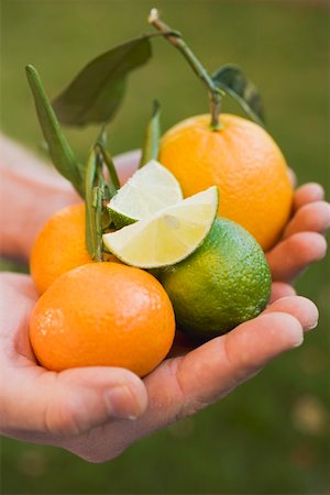 Hands holding assorted citrus fruit Fotografie stock - Premium Royalty-Free, Codice: 659-01864143