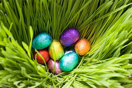 simsearch:659-01864274,k - Chocolate eggs, wrapped in coloured foil, in grass Foto de stock - Sin royalties Premium, Código: 659-01864266