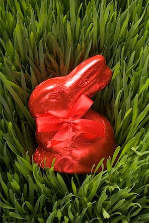 simsearch:659-01864279,k - Red chocolate Easter Bunny in grass Foto de stock - Sin royalties Premium, Código: 659-01864272