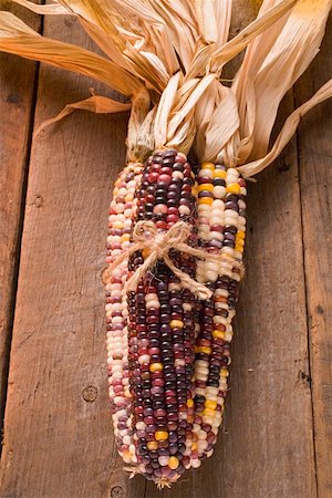 Cob of corn (Autumn decoration, USA) Stock Photo - Premium Royalty-Free, Code: 659-01864364