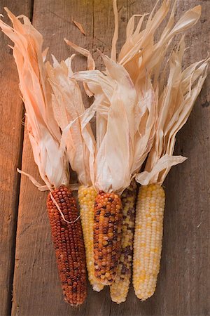 Cobs of corn (Autumn decoration, USA) Stock Photo - Premium Royalty-Free, Code: 659-01864366