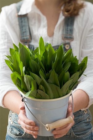 simsearch:659-01866634,k - Woman holding bucket of fresh ramsons (wild garlic) Foto de stock - Sin royalties Premium, Código: 659-01864545