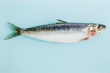 An anchovy Stock Photo - Premium Royalty-Free, Code: 659-01864721