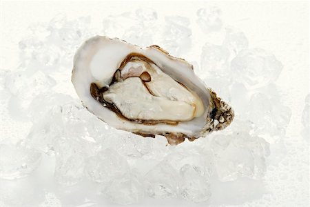 raw oyster - Fresh oyster, opened, on ice cubes Stock Photo - Premium Royalty-Free, Code: 659-01865306
