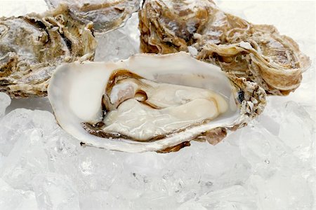 raw oyster - Fresh oysters on ice cubes Stock Photo - Premium Royalty-Free, Code: 659-01865308