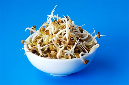 fenugreek - Fenugreek sprouts in white bowl Stock Photo - Premium Royalty-Free, Code: 659-01865367