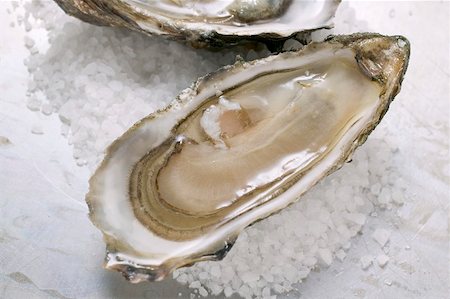 raw oyster - Fresh oysters, opened, with coarse salt Stock Photo - Premium Royalty-Free, Code: 659-01865573