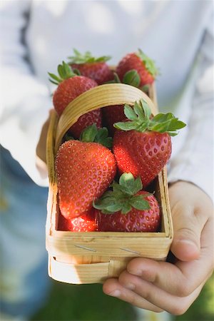 Person holding woodchip basket of fresh strawberries Stock Photo - Premium Royalty-Free, Code: 659-01865665