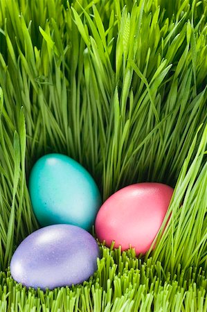 easter grass - Three Easter eggs in grass Foto de stock - Royalty Free Premium, Número: 659-01865765