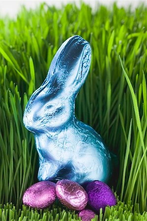 Lapin de Pâques et chocolat oeufs en herbe Photographie de stock - Premium Libres de Droits, Code: 659-01865767