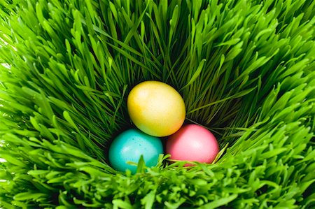 simsearch:659-01850865,k - Three Easter eggs in grass Stock Photo - Premium Royalty-Free, Code: 659-01865769