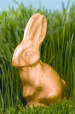 simsearch:659-01865803,k - Easter Bunny in grass Foto de stock - Sin royalties Premium, Código: 659-01865782