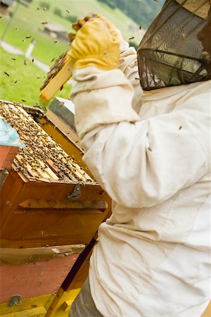 simsearch:659-01866173,k - Beekeeper tending beehive Foto de stock - Royalty Free Premium, Número: 659-01866168