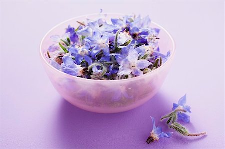 Borage flowers in and beside pink bowl Stock Photo - Premium Royalty-Free, Code: 659-01866255